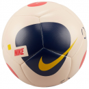 Мяч футзальный NIKE FUTSAL MAESTRO DM4153-838
