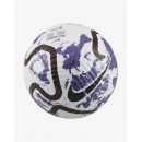 Мяч футбольный Nike Premier League Academy FB2985-103