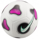 Мяч футзальный NIKE FUTSAL PRO FJ5549-100