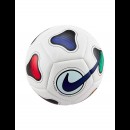 Мяч футзальный NIKE FUTSAL PRO FJ5547-100