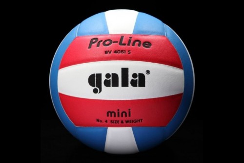 Мяч волейбольный GALA Pro-Line Mini - BV 4051 S