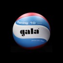 Мяч волейбольный GALA BV 5561 S TRAINING